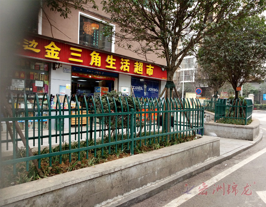 湖南城市道路绿化带锌钢护栏围栏生产厂家