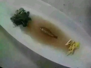 揭秘市场低价锌钢护栏是如何出炉的